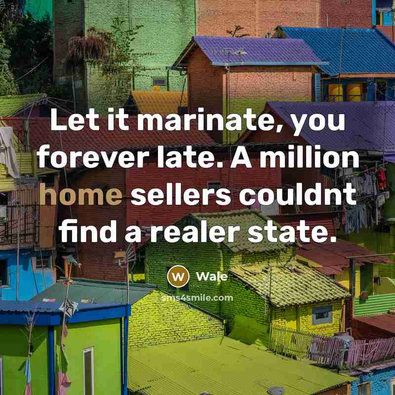 “Let it marinate, you forever late. A million home sellers couldnt find a realer state.” quote by Wale