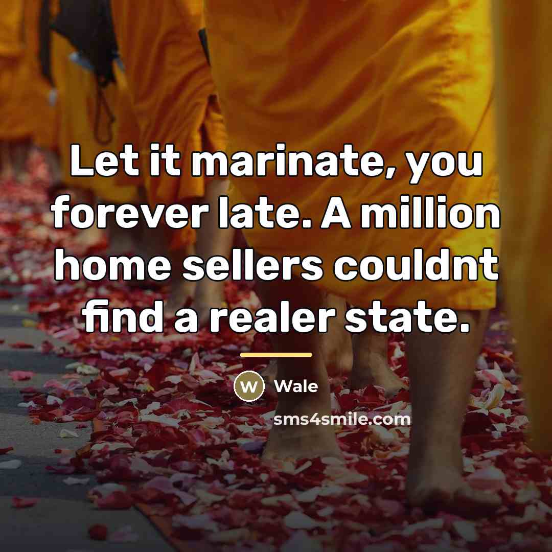 “Let it marinate, you forever late. A million home sellers…” quote by Wale
