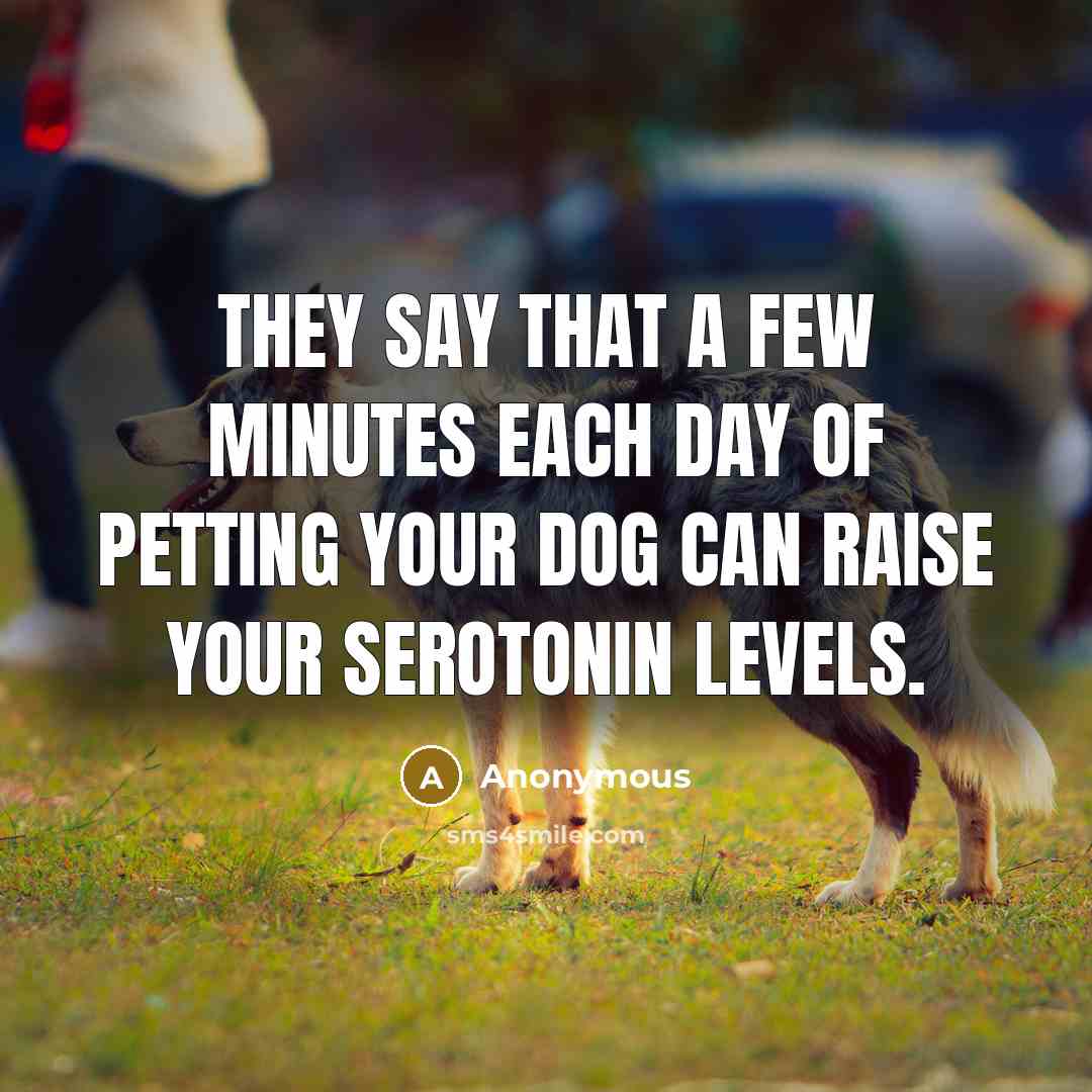 “They say that a few minutes each day of petting…” quote by Anonymous
