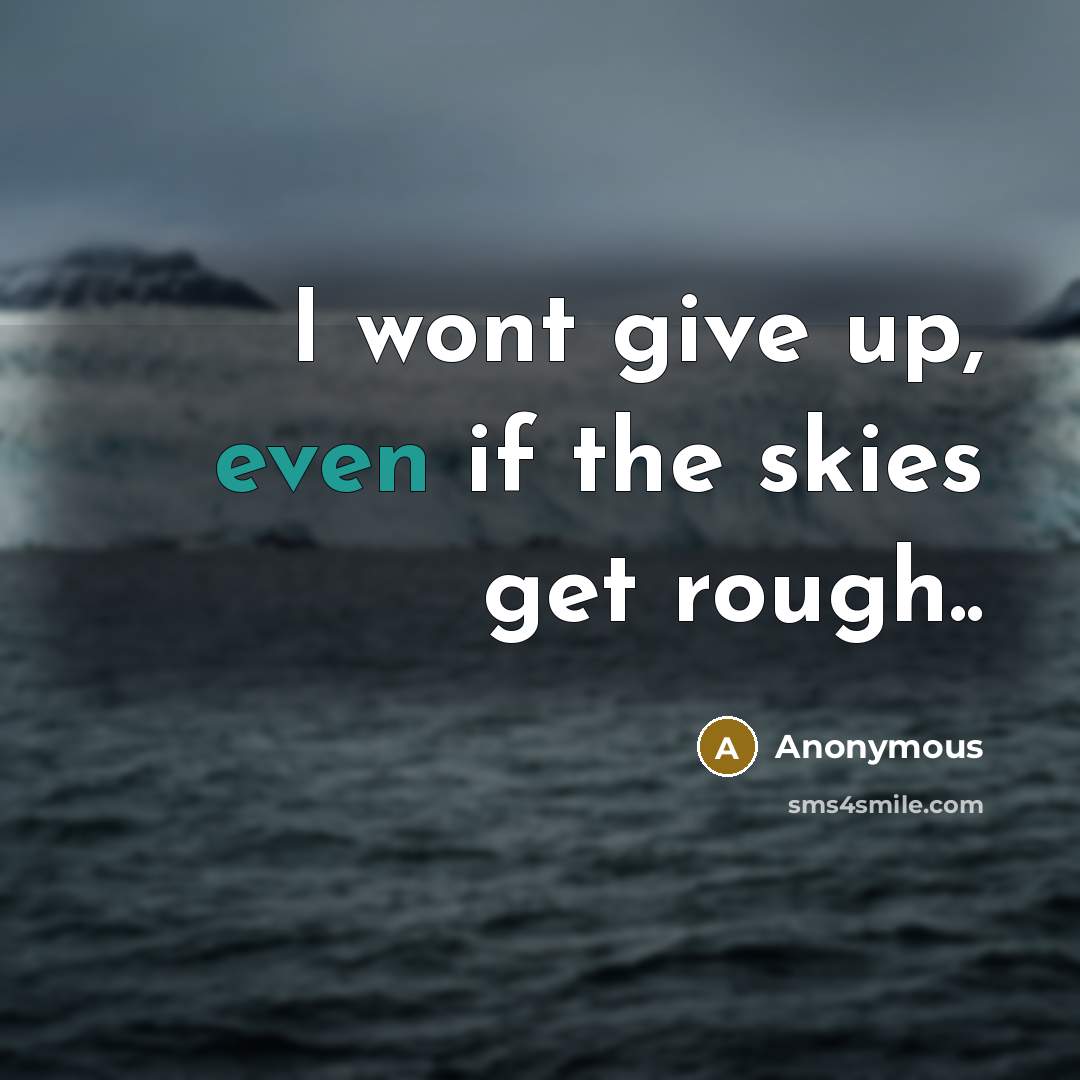 “I wont give up, even if the skies get rough..” quote by Anonymous