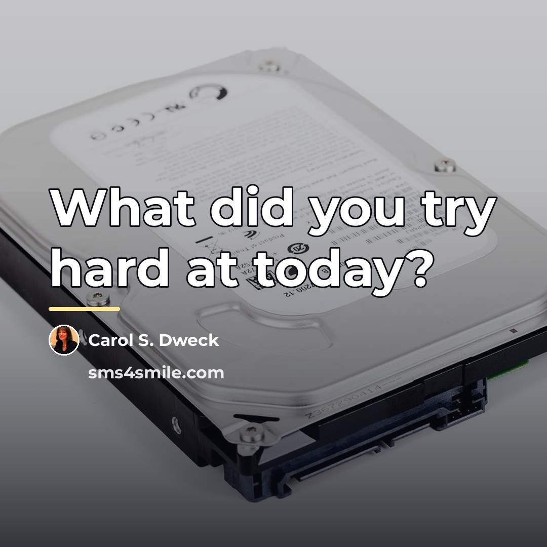 “What did you try hard at today?…” quote by Carol S. Dweck