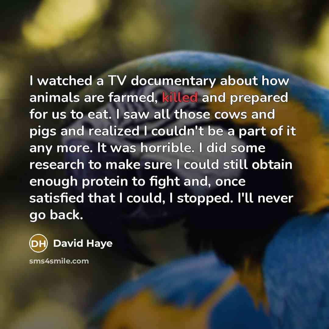 “I watched a TV documentary about how animals are farmed,…” quote by David Haye