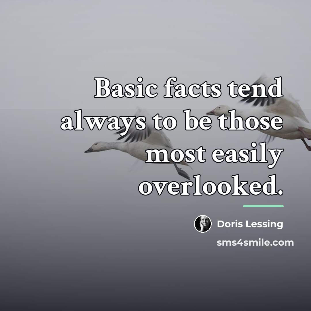 “Basic facts tend always to be those most easily overlooked.…” quote by Doris Lessing