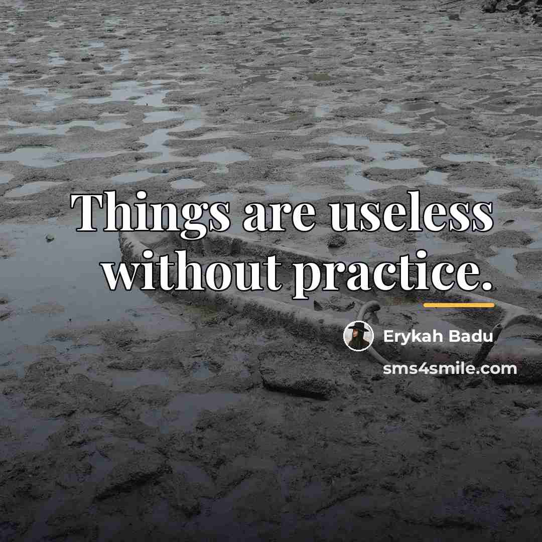 “Things are useless without practice.…” quote by Erykah Badu