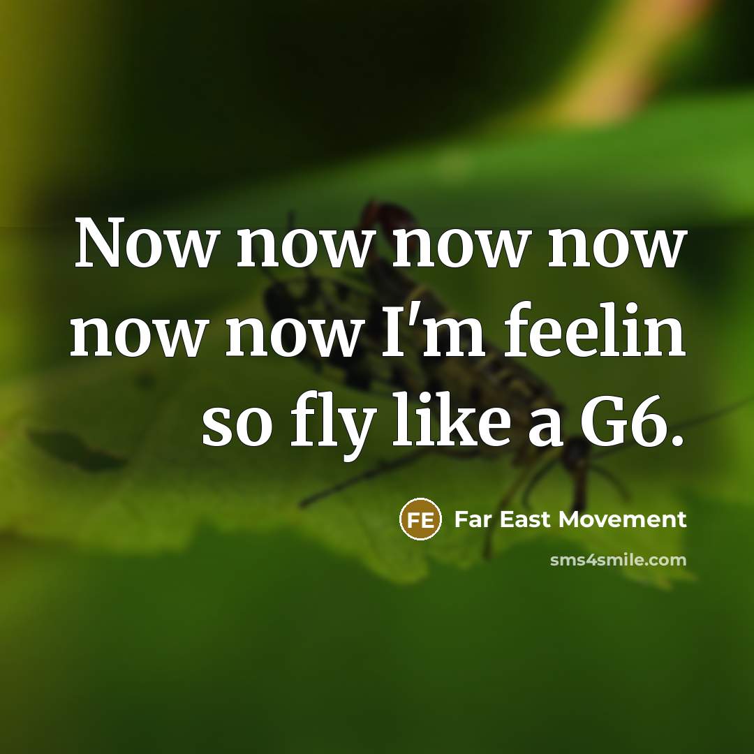 “Now now now now now now I'm feelin so fly like a G6.” quote by Far East Movement