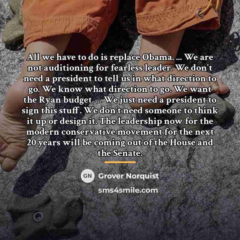 “All we have to do is replace Obama. ... We…” quote by Grover Norquist