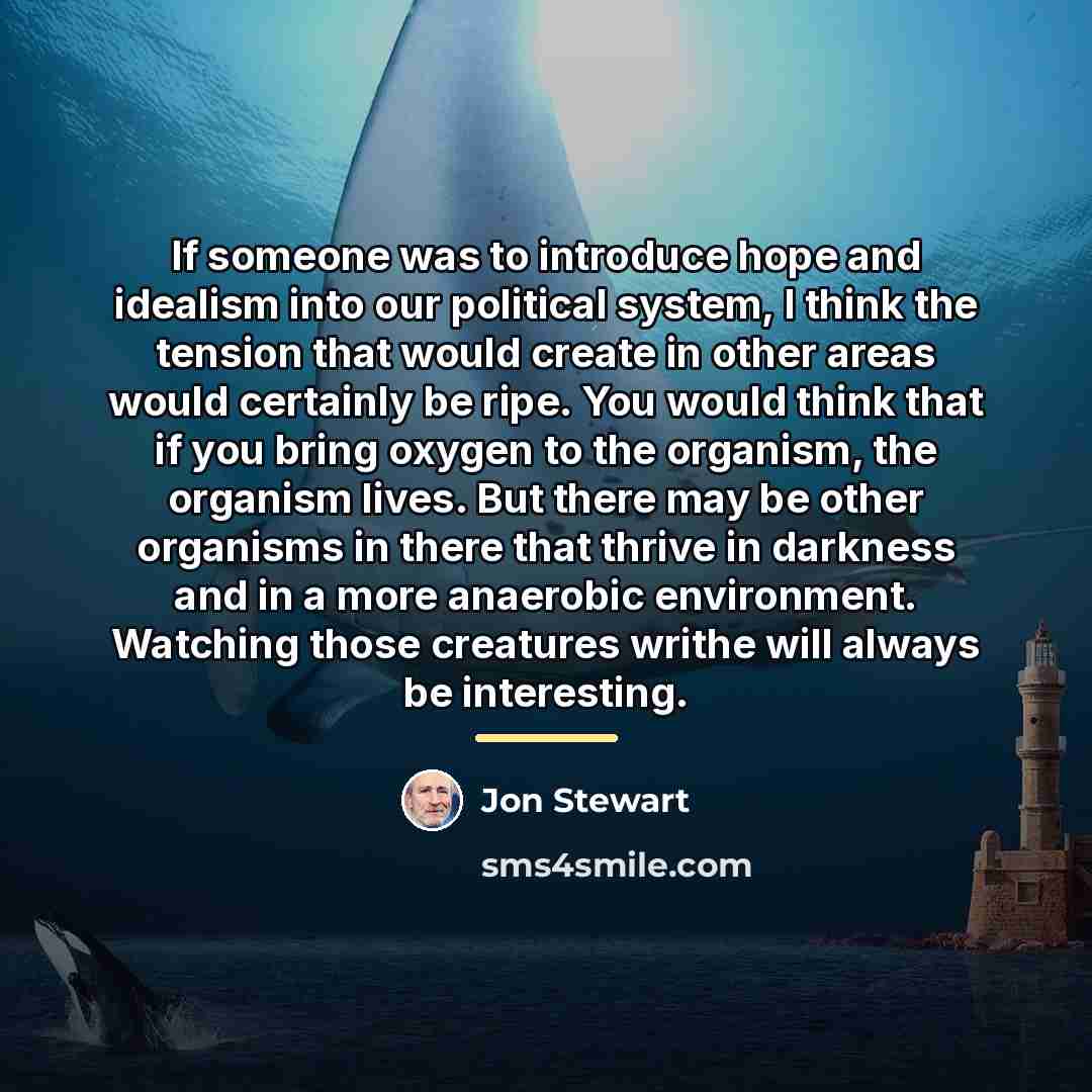 “If someone was to introduce hope and idealism into our…” quote by Jon Stewart
