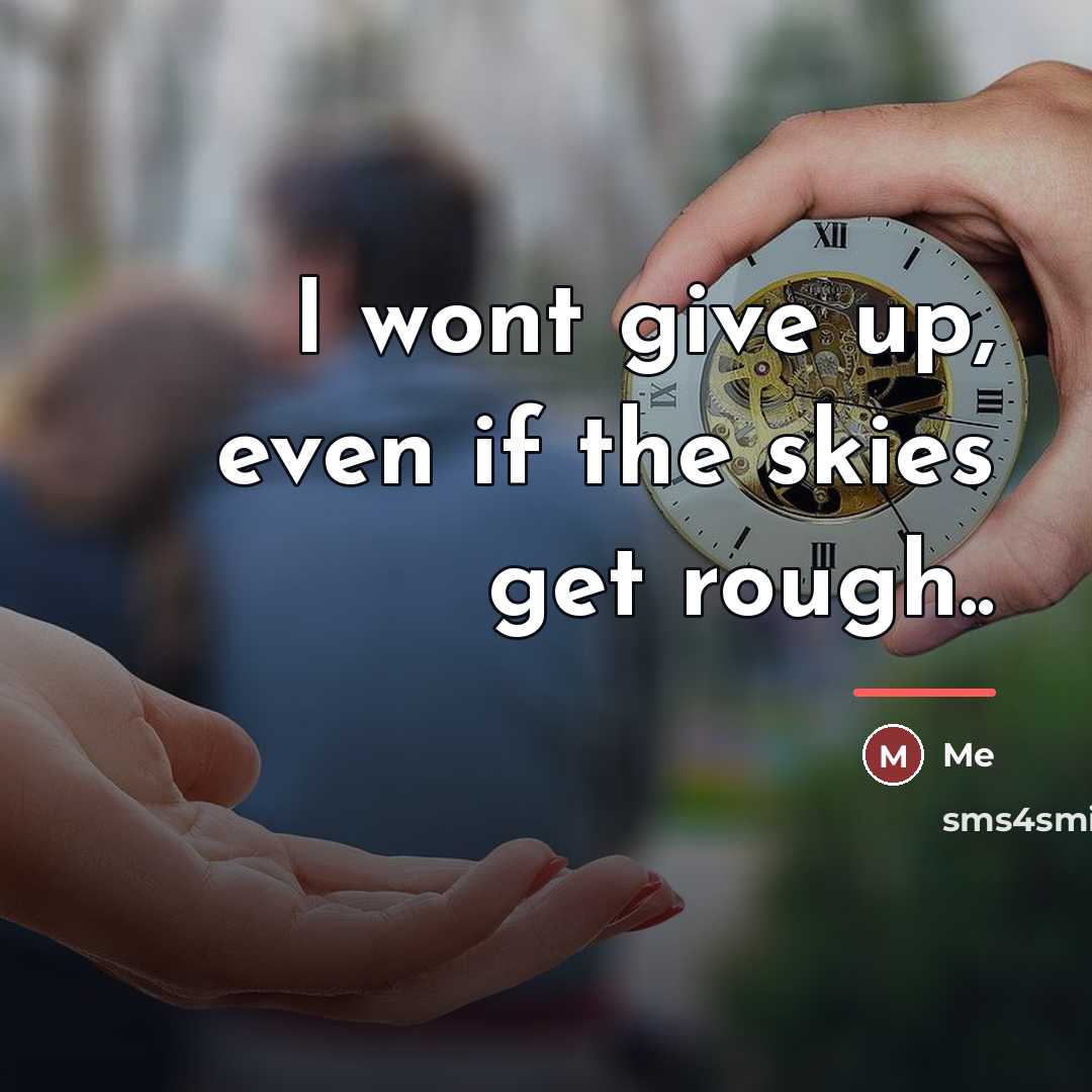 “I wont give up, even if the skies get rough..…” quote by Me