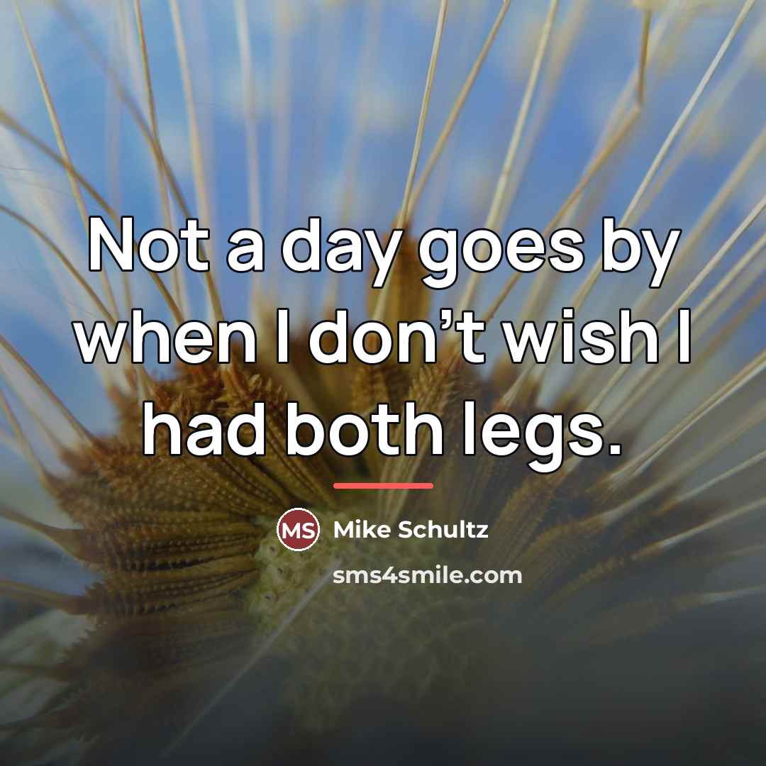 “Not a day goes by when I don't wish I…” quote by Mike Schultz