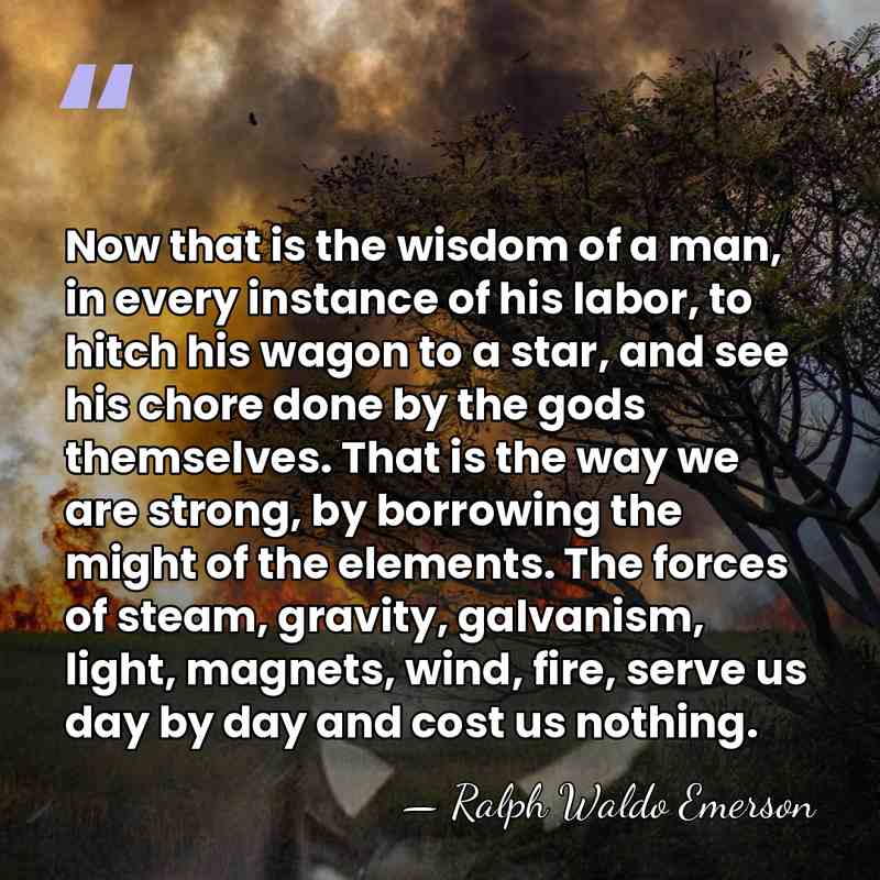 Now that is the wisdom of a man, in every instance of&hellip; - Ralph Waldo Emerson