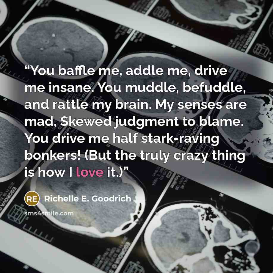 “You baffle me, addle me, drive me insane. You muddle, befuddle, and rattle my brain. My senses are mad, Skewed judgment to blame. You drive me half stark-raving bonkers! (But the truly crazy thing is how I love it.)” quote by Richelle E. Goodrich