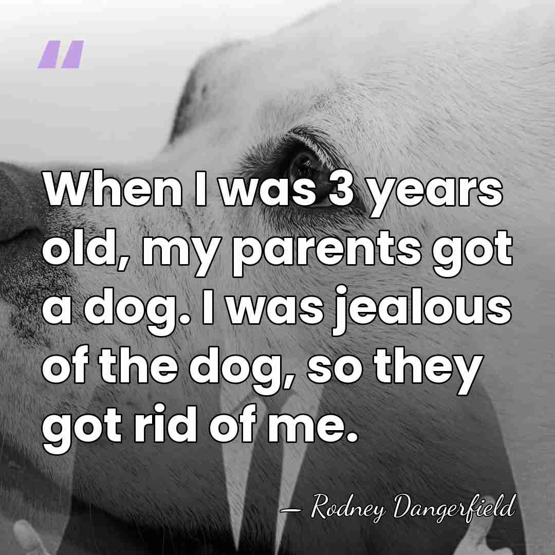 When I was 3 years old, my parents got a dog. I&hellip; - Rodney Dangerfield