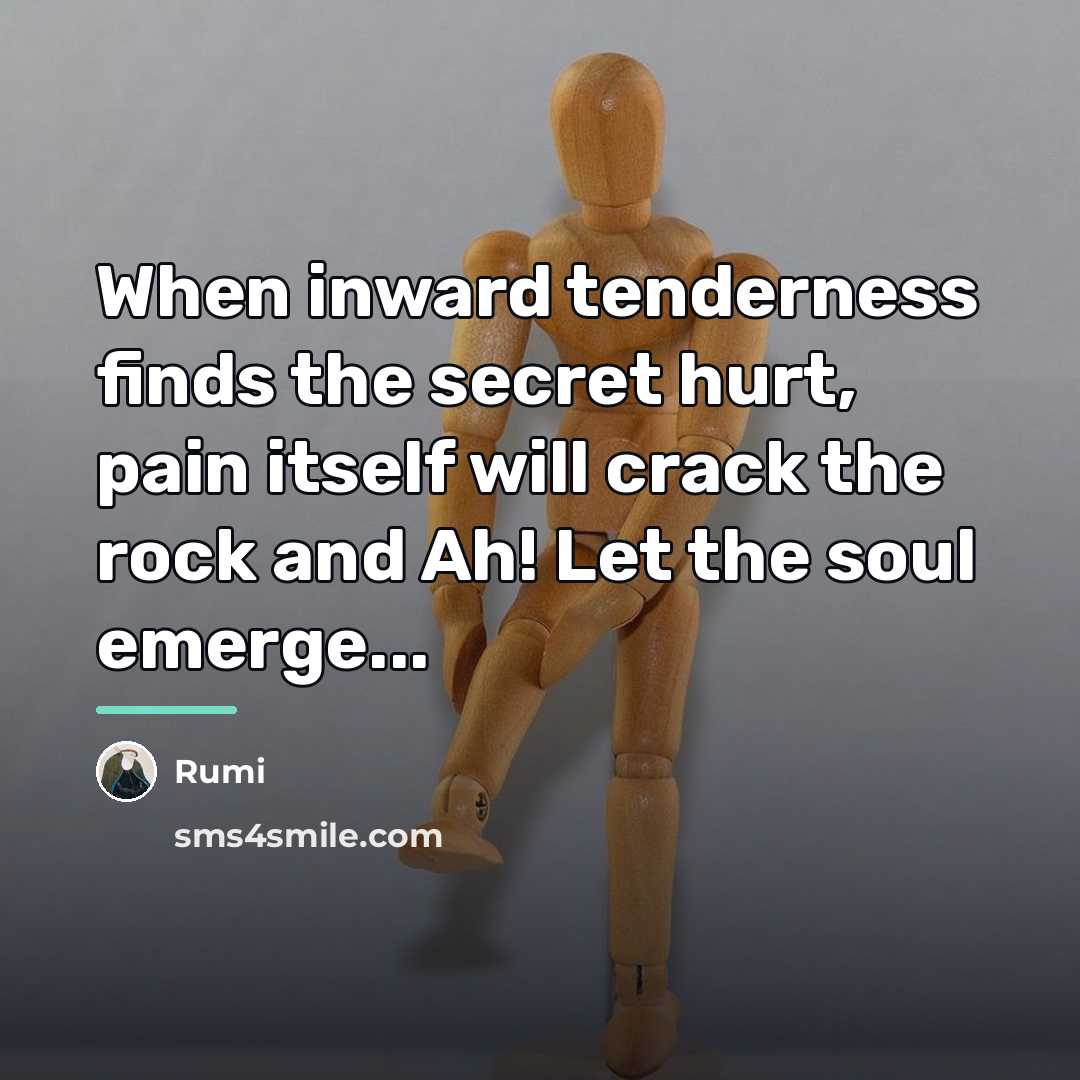 “When inward tenderness finds the secret hurt, pain itself will…” quote by Rumi