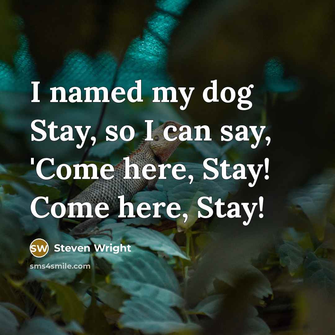 “I named my dog Stay, so I can say, 'Come…” quote by Steven Wright
