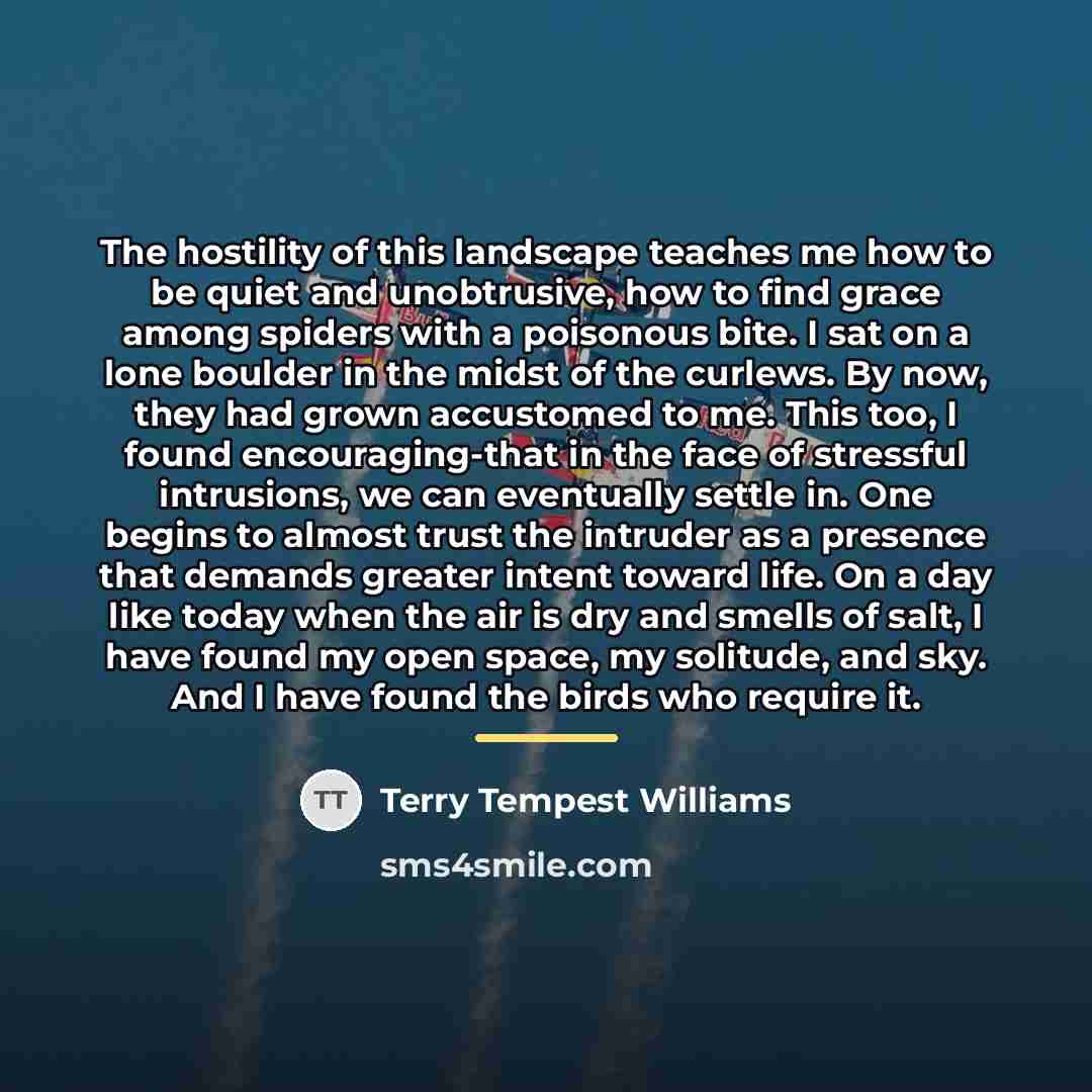 “The hostility of this landscape teaches me how to be…” quote by Terry Tempest Williams