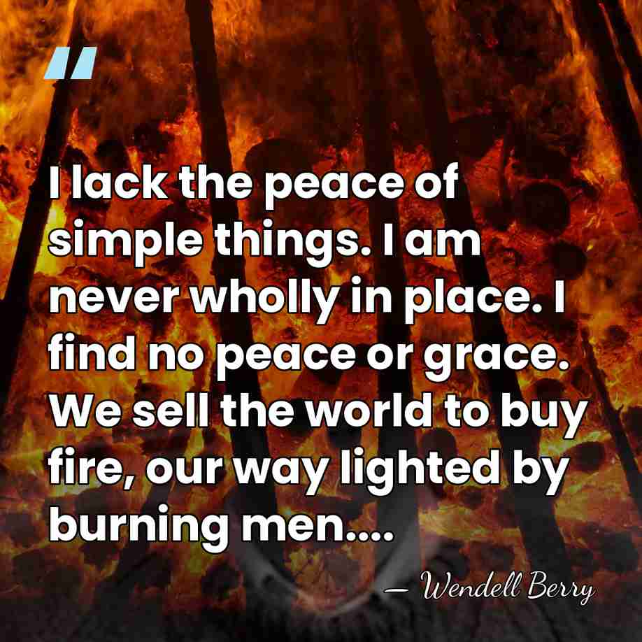 I lack the peace of simple things. I am never wholly in&hellip; - Wendell Berry