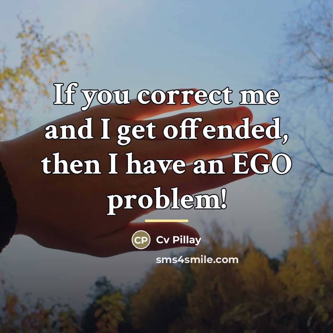 “If you correct me and I get offended, then I…” quote by Cv Pillay