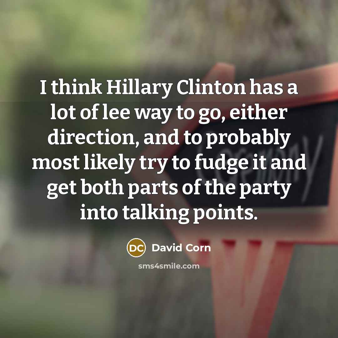 “I think Hillary Clinton has a lot of lee way…” quote by David Corn