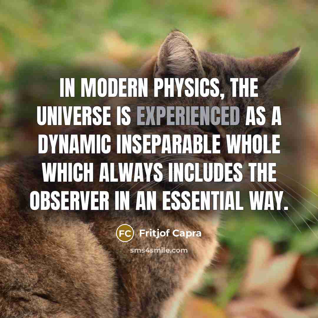 “In modern physics, the universe is experienced as a dynamic…” quote by Fritjof Capra