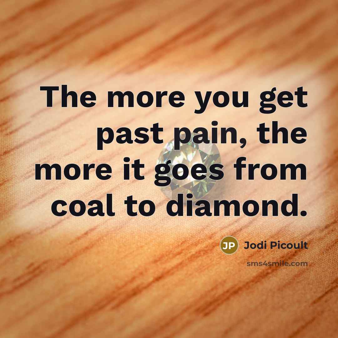 “The more you get past pain, the more it goes…” quote by Jodi Picoult