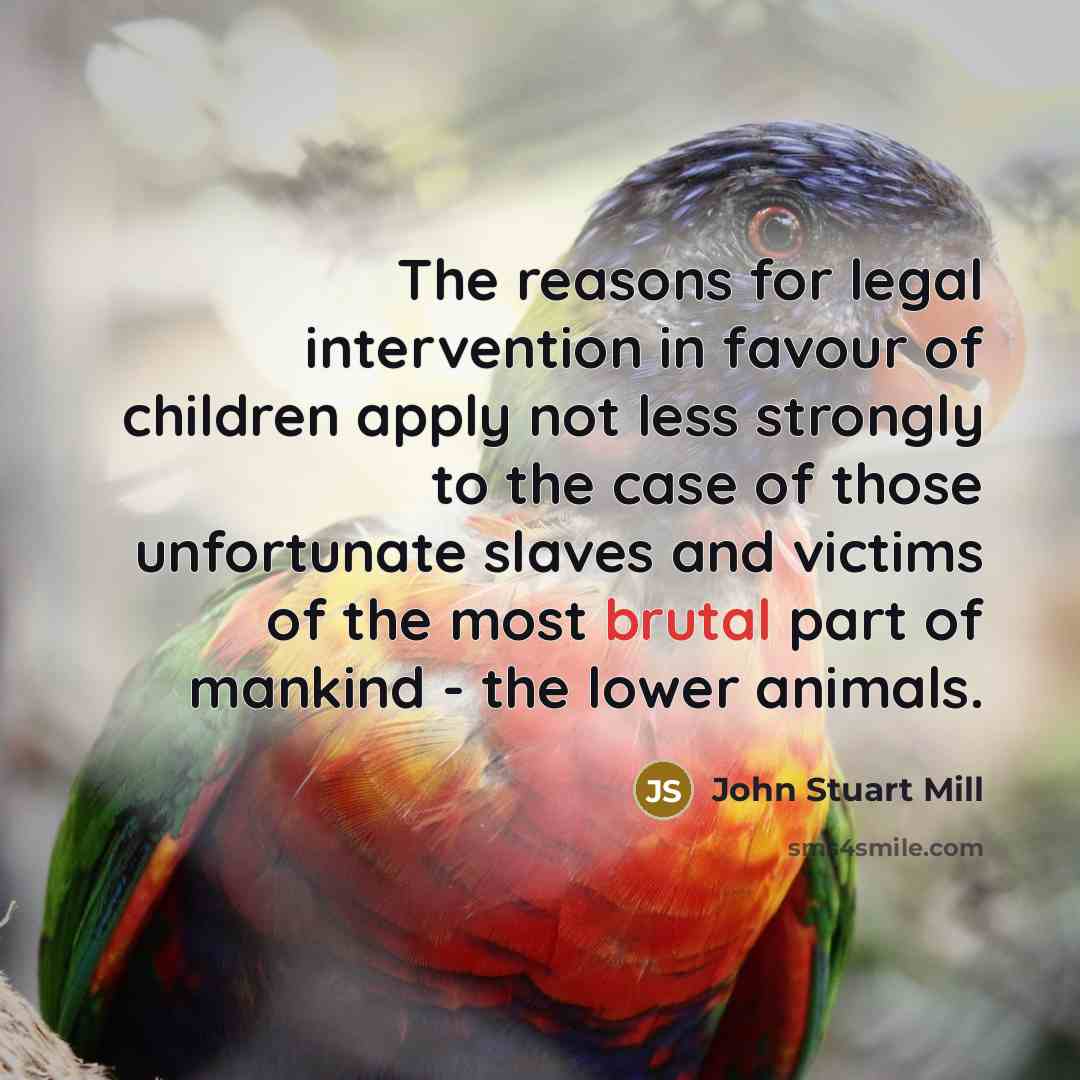 “The reasons for legal intervention in favour of children apply…” quote by John Stuart Mill