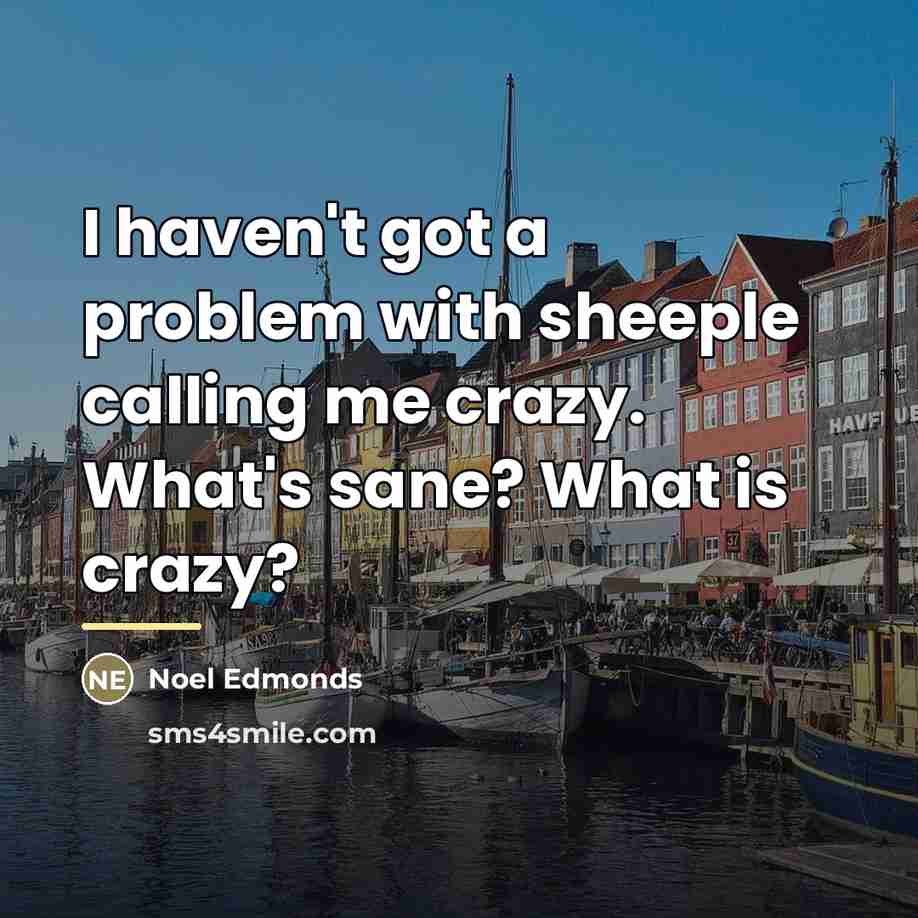 “I haven't got a problem with sheeple calling me crazy.…” quote by Noel Edmonds
