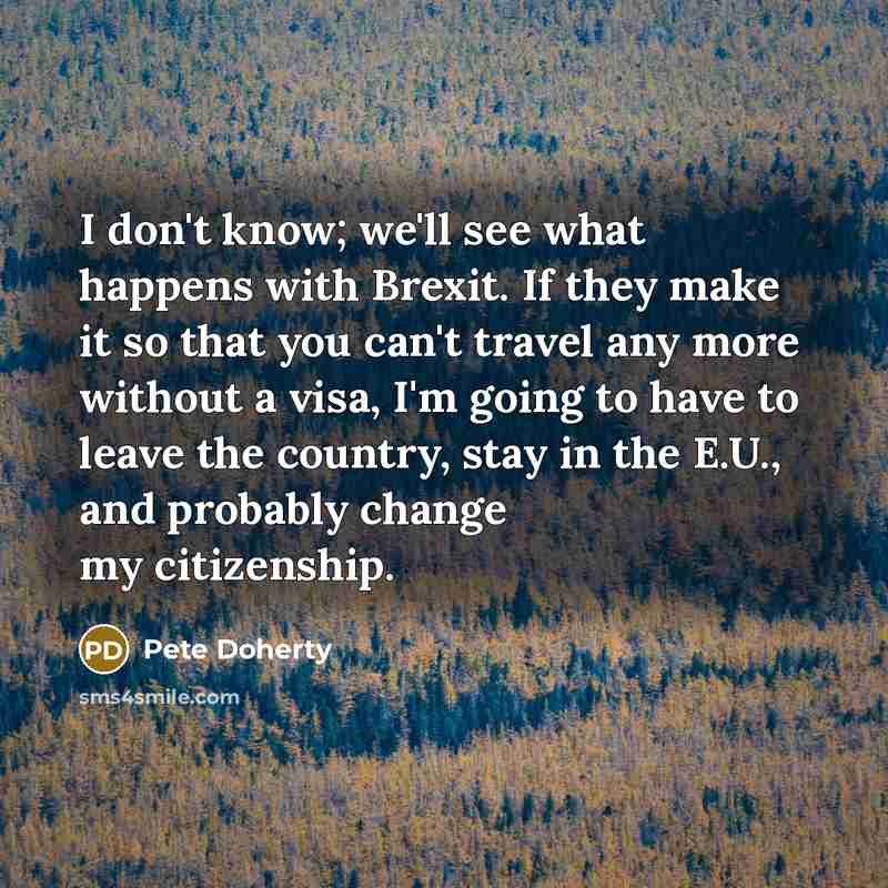 “I don't know; we'll see what happens with Brexit. If…” quote by Pete Doherty
