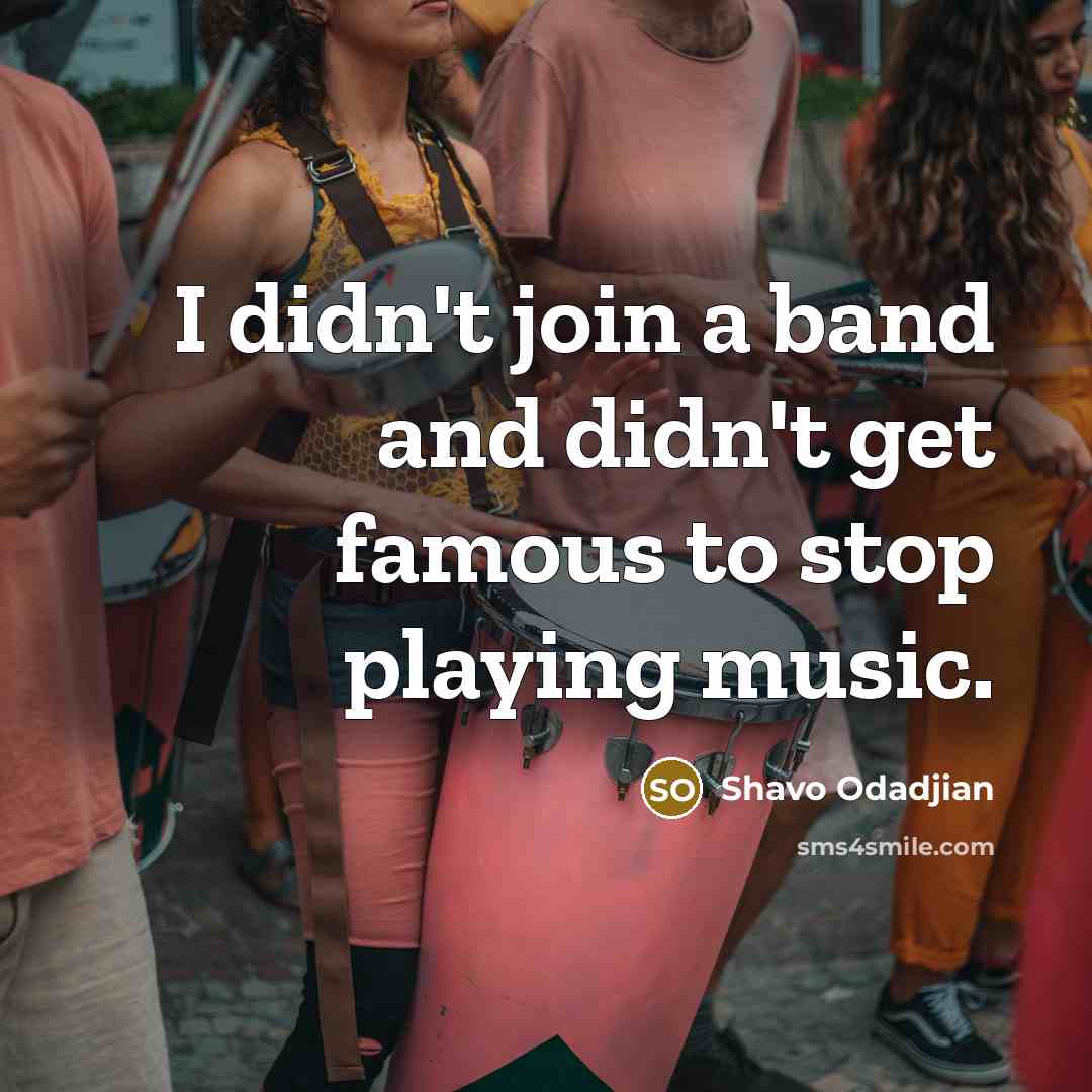 “I didn't join a band and didn't get famous to…” quote by Shavo Odadjian