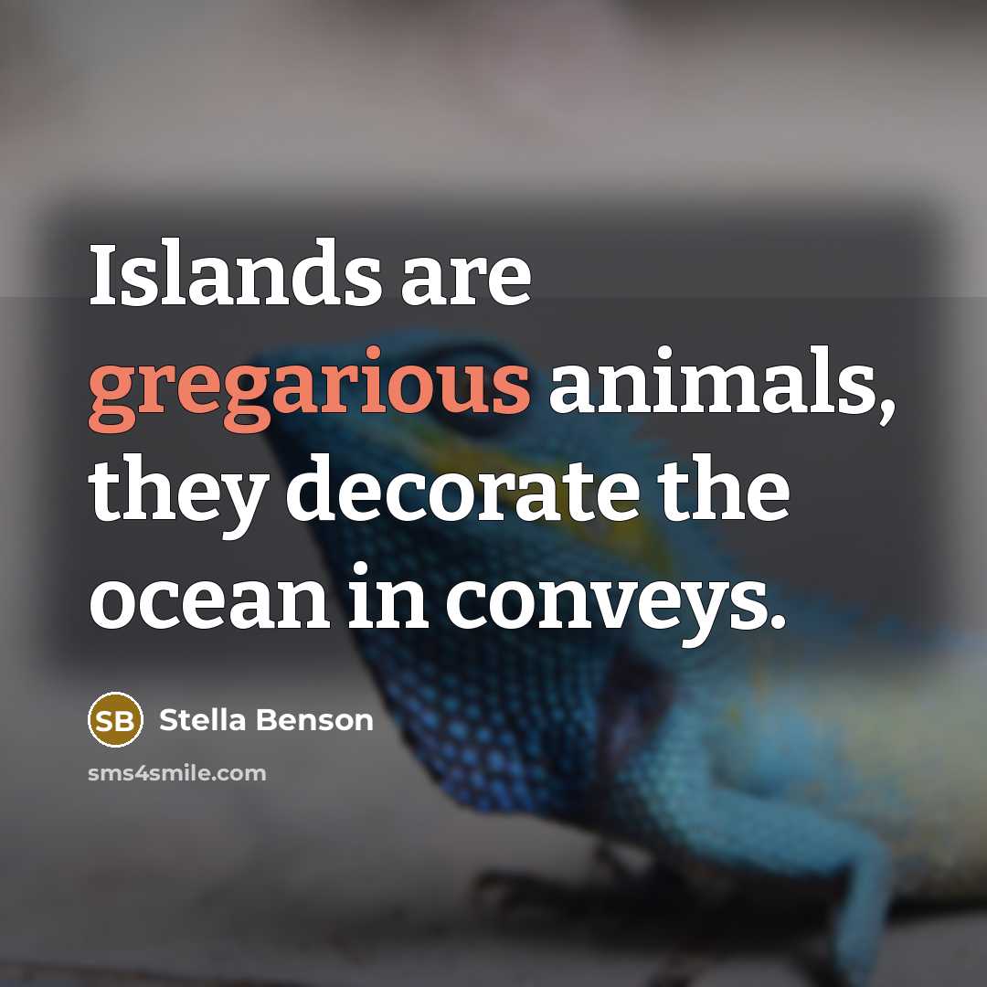 “Islands are gregarious animals, they decorate the ocean in conveys.…” quote by Stella Benson