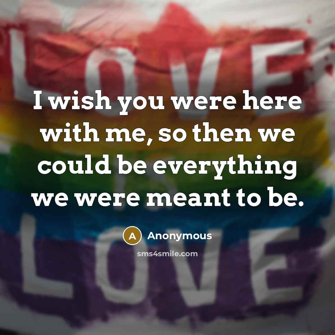 “I wish you were here with me, so then we…” quote by Anonymous