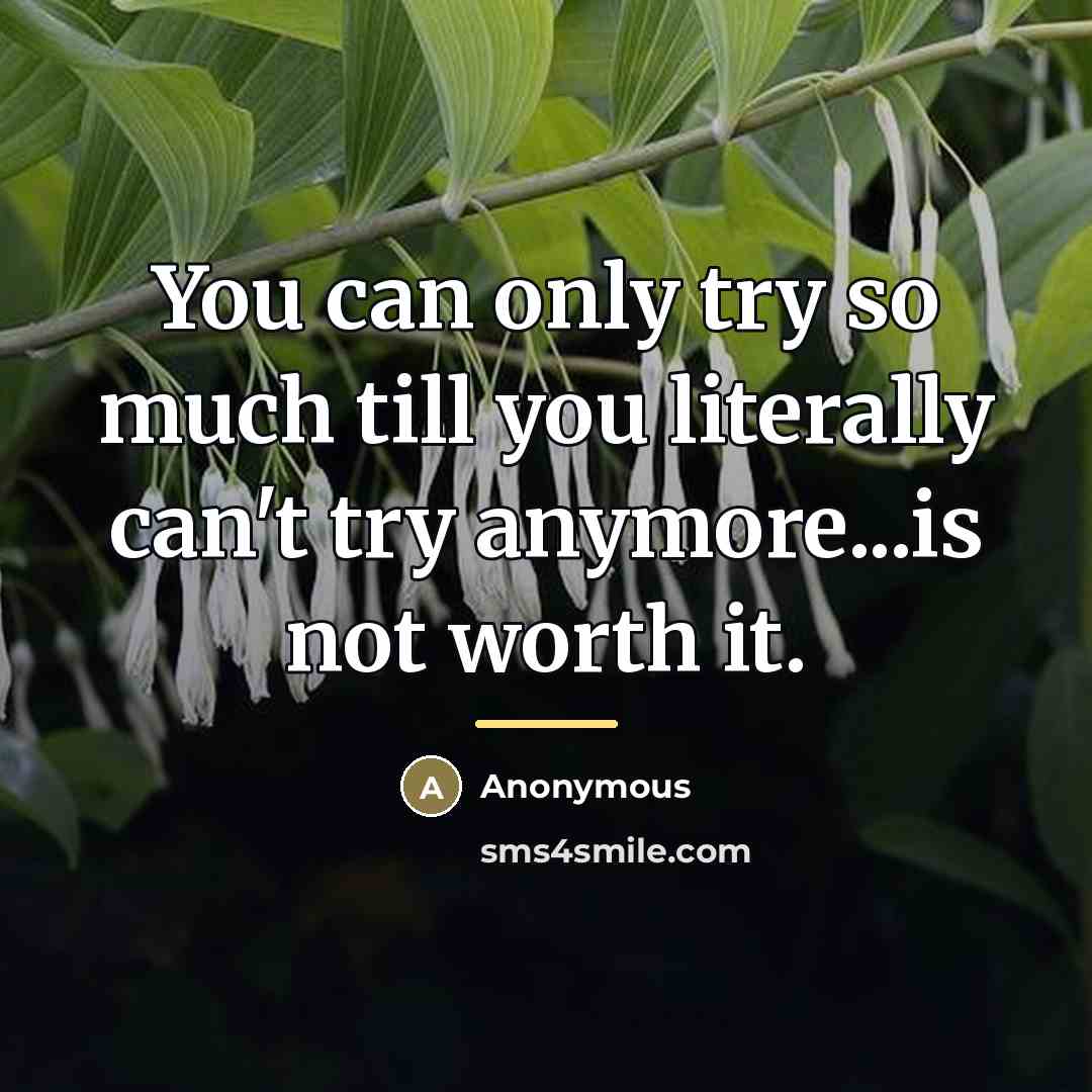 “You can only try so much till you literally can't…” quote by Anonymous