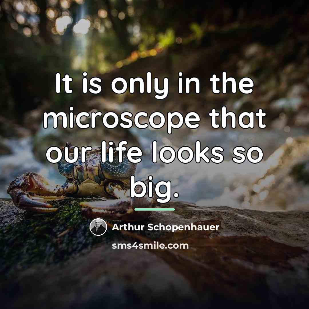 “It is only in the microscope that our life looks…” quote by Arthur Schopenhauer