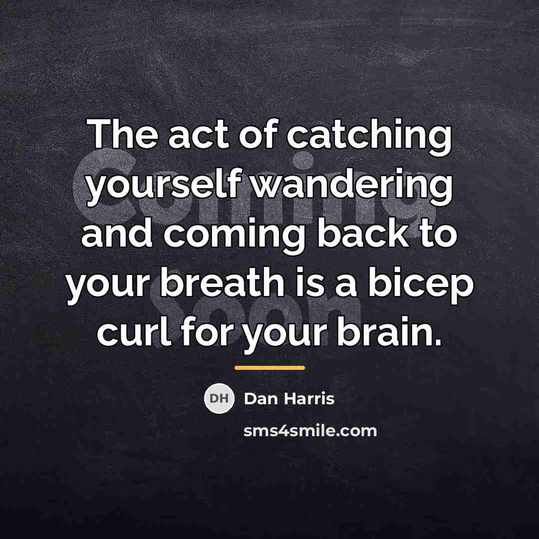“The act of catching yourself wandering and coming back to…” quote by Dan Harris