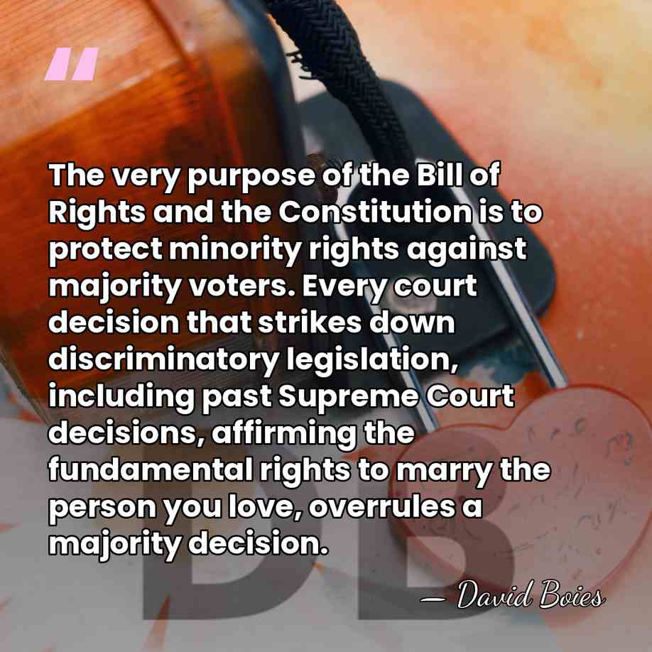 The very purpose of the Bill of Rights and the Constitution is&hellip; - David Boies