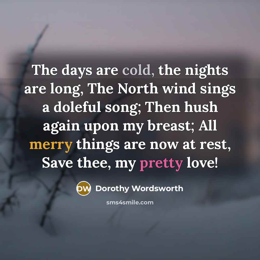 “The days are cold, the nights are long, The North…” quote by Dorothy Wordsworth