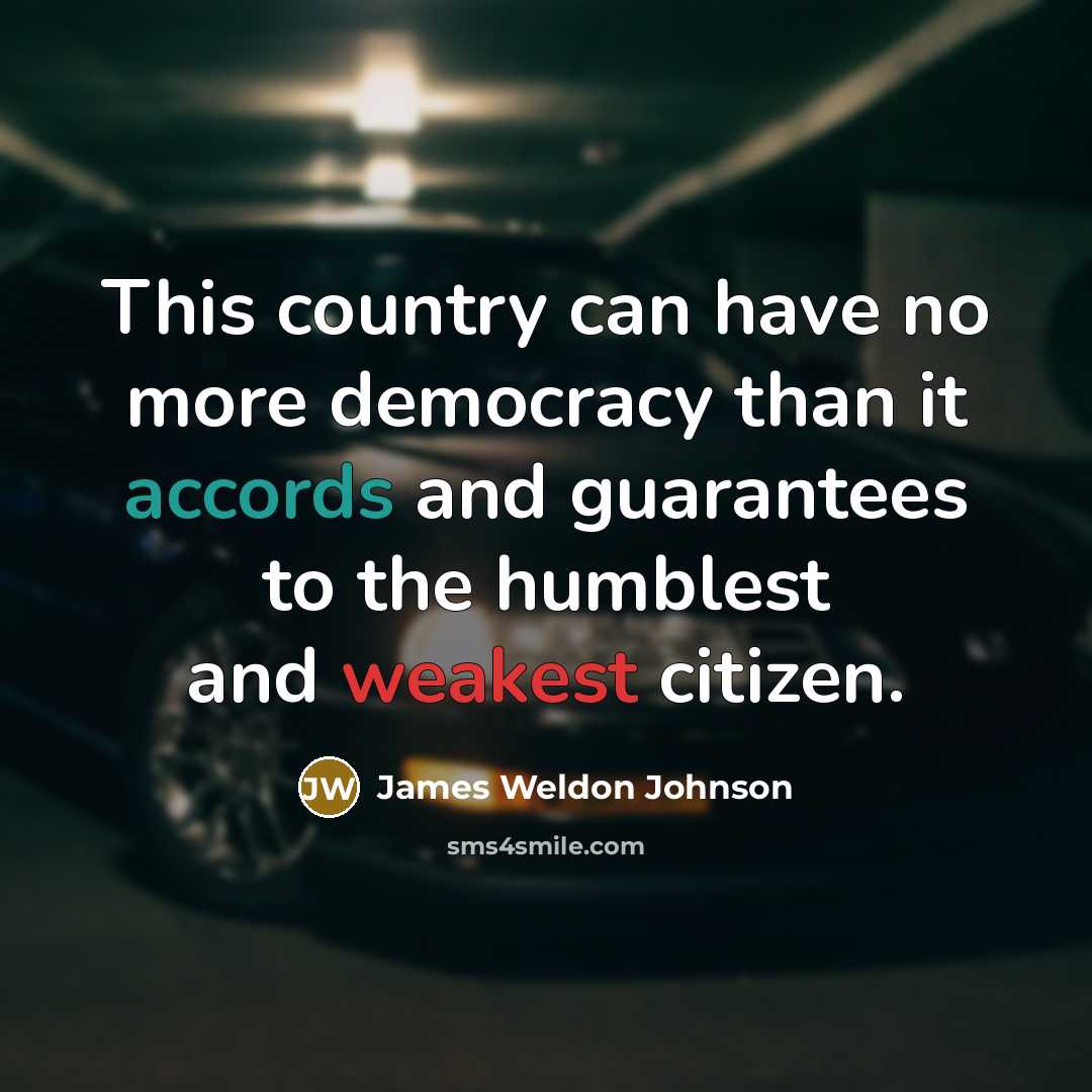 “This country can have no more democracy than it accords…” quote by James Weldon Johnson