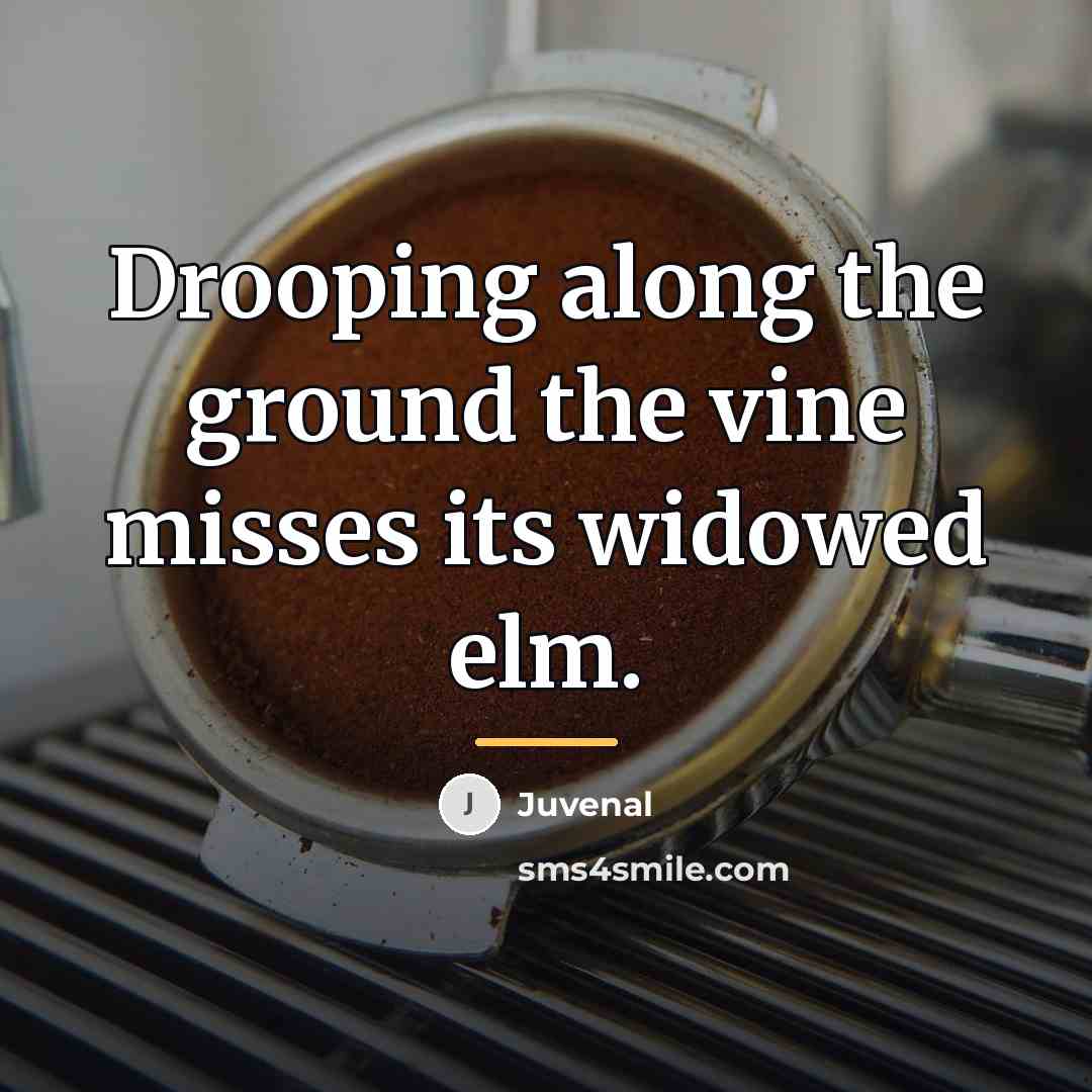 “Drooping along the ground the vine misses its widowed elm.…” quote by Juvenal