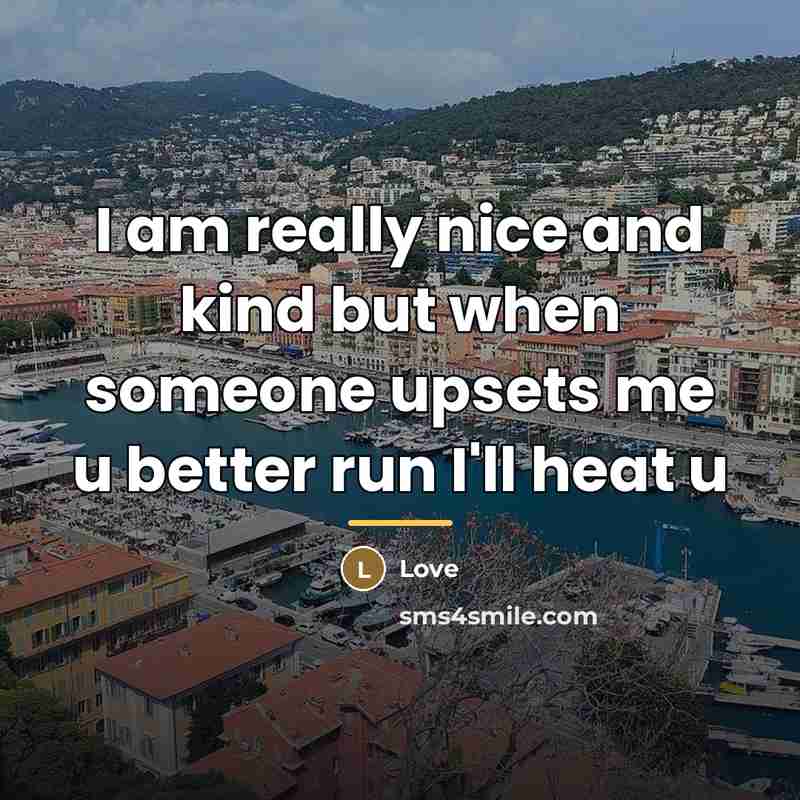 “I am really nice and kind but when someone upsets…” quote by Love