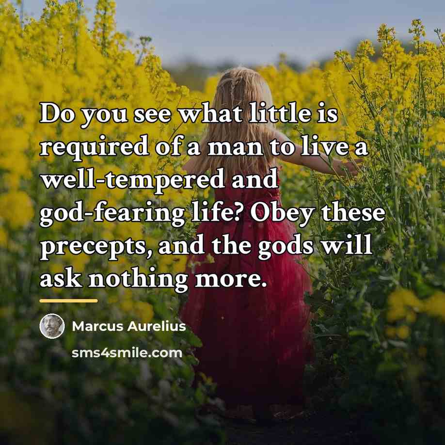 “Do you see what little is required of a man…” quote by Marcus Aurelius