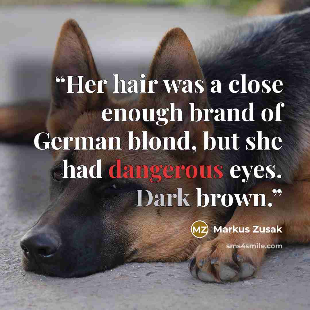 “Her hair was a close enough brand of German blond, but she had dangerous eyes. Dark brown.” quote by Markus Zusak