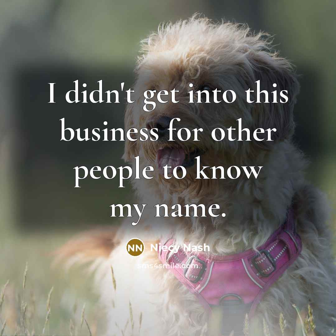 “I didn't get into this business for other people to…” quote by Niecy Nash