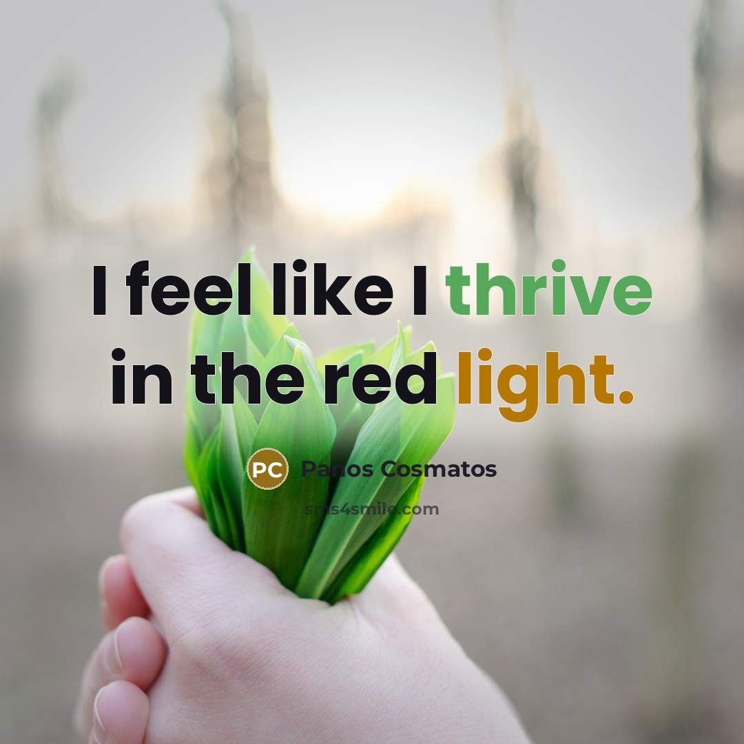 “I feel like I thrive in the red light.…” quote by Panos Cosmatos