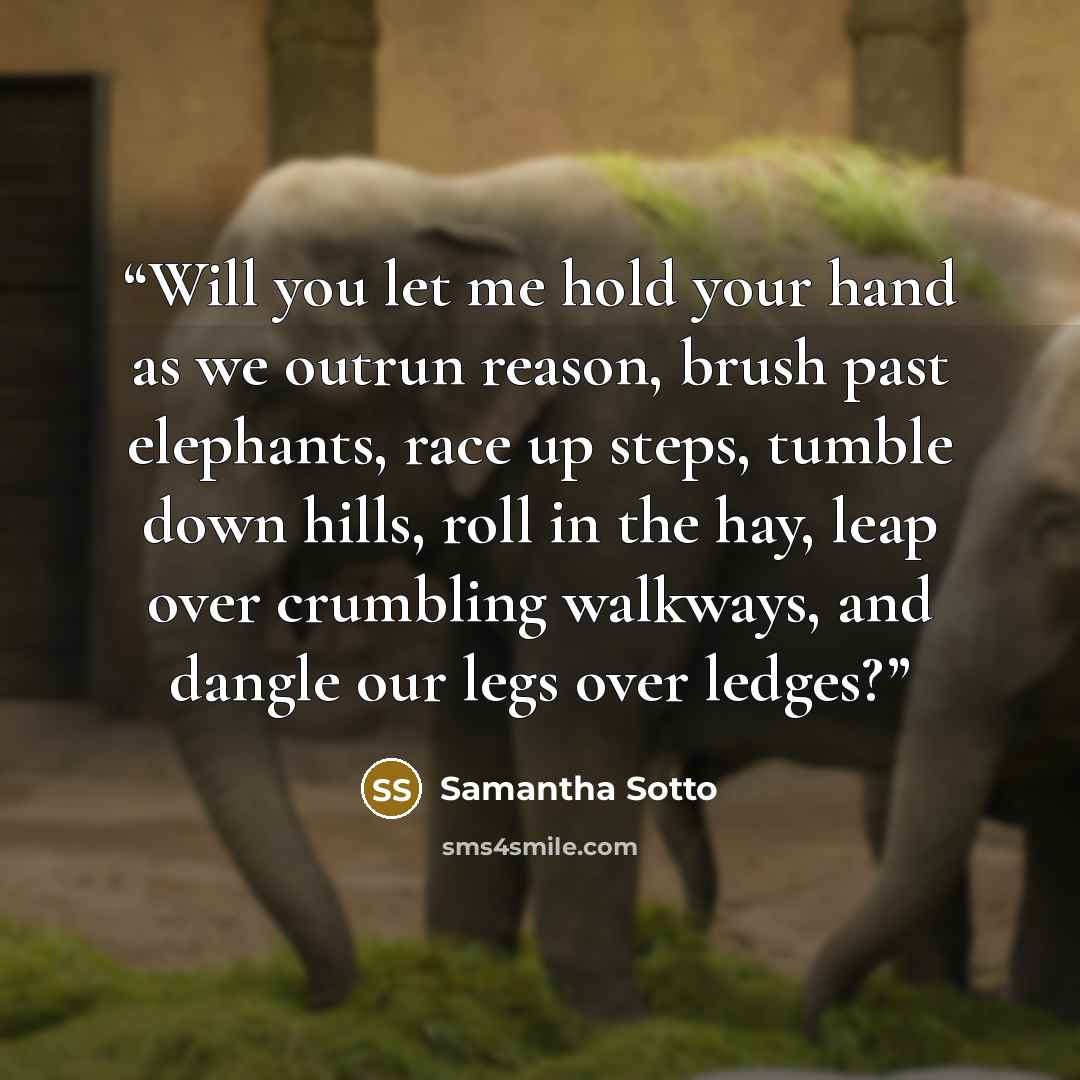 “Will you let me hold your hand as we outrun reason, brush past elephants, race up steps, tumble down hills, roll in the hay, leap over crumbling walkways, and dangle our legs over ledges?” quote by Samantha Sotto