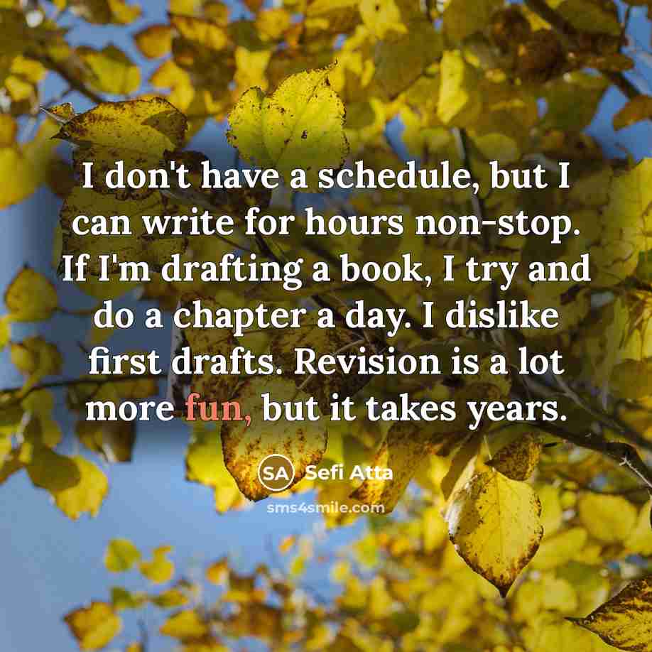 “I don't have a schedule, but I can write for…” quote by Sefi Atta