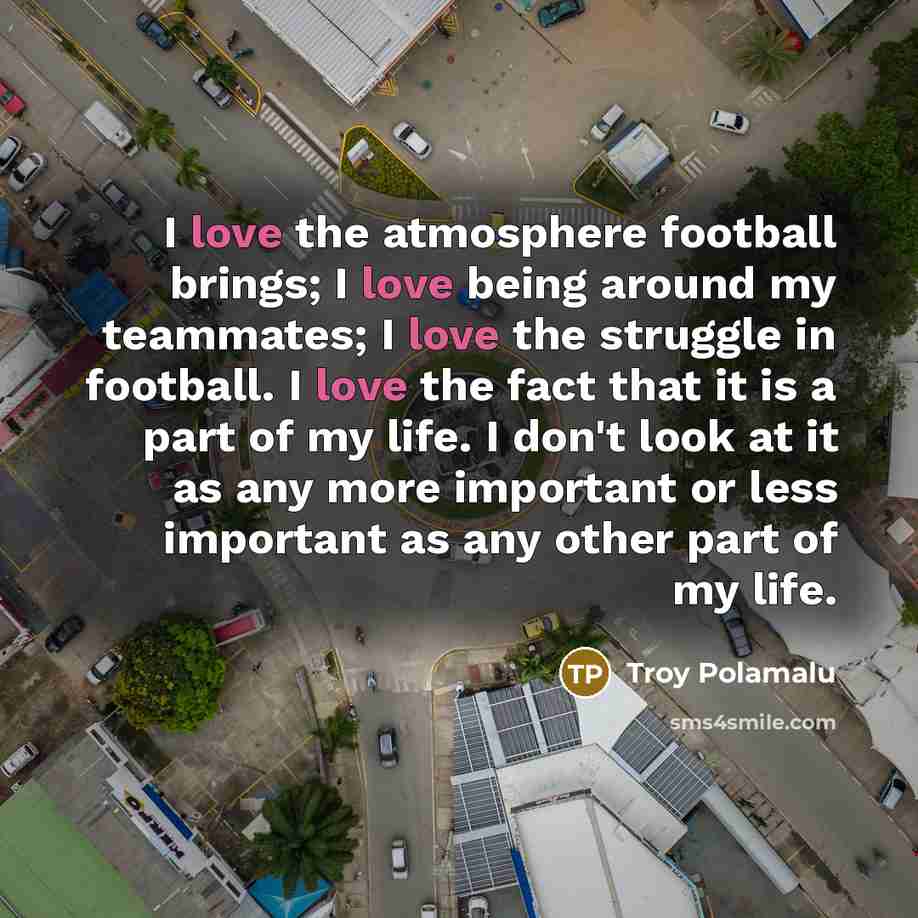 “I love the atmosphere football brings; I love being around…” quote by Troy Polamalu