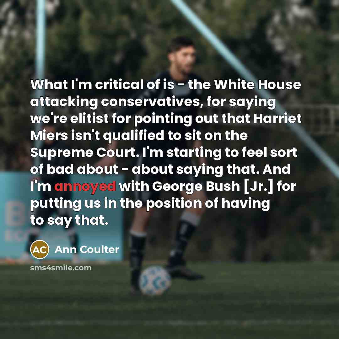 “What I'm critical of is - the White House attacking…” quote by Ann Coulter