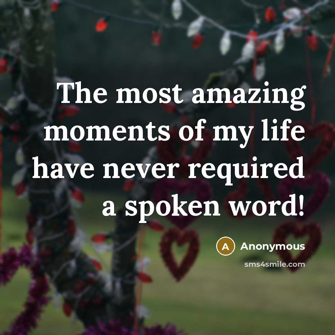 “The most amazing moments of my life have never required a spoken word!” quote by Anonymous