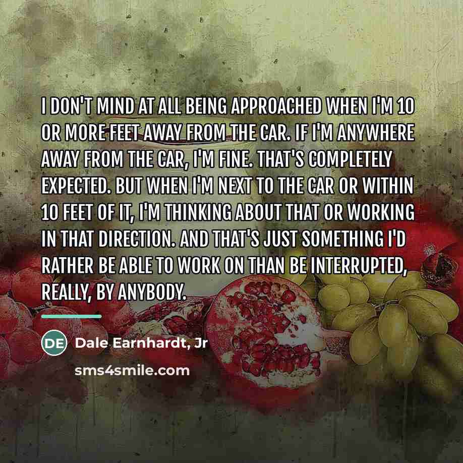 “I don't mind at all being approached when I'm 10…” quote by Dale Earnhardt, Jr