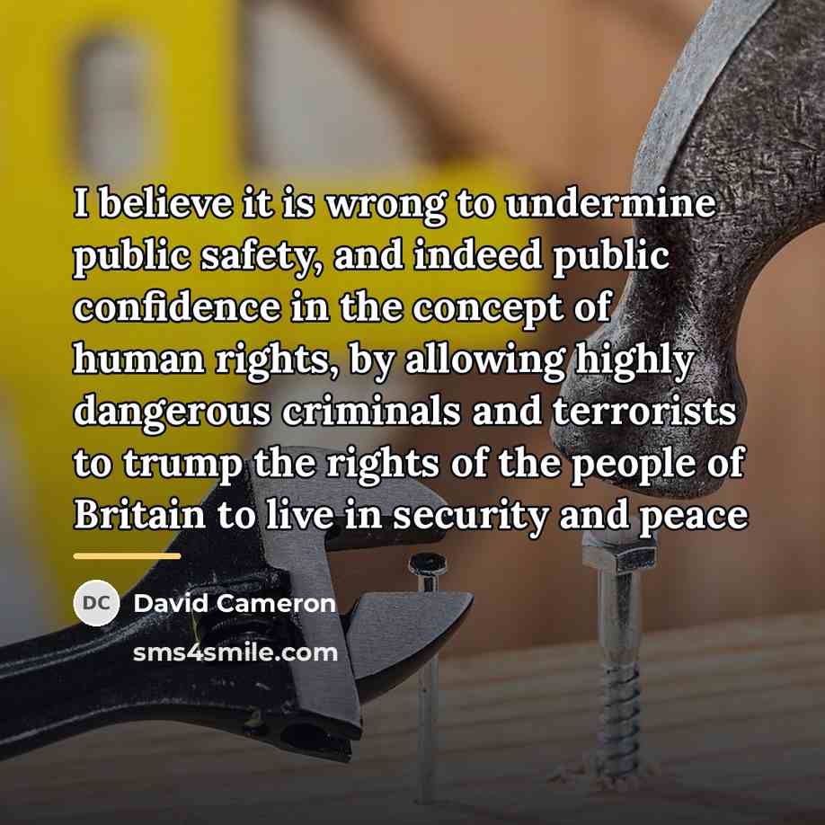 “I believe it is wrong to undermine public safety, and…” quote by David Cameron