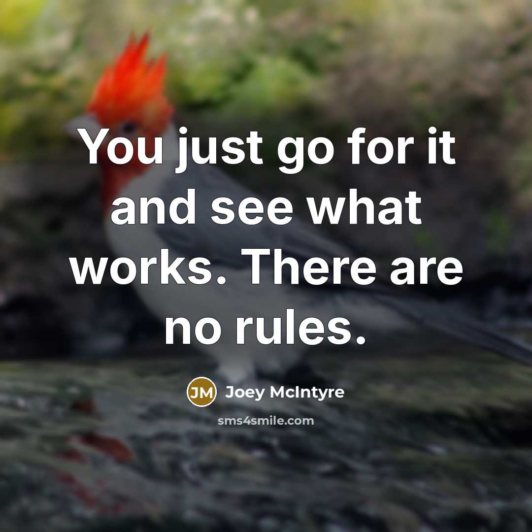 “You just go for it and see what works. There…” quote by Joey McIntyre